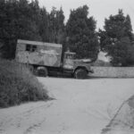 box truck parked beside pine trees